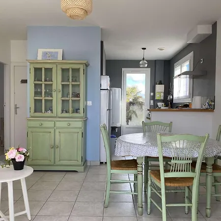 Salamandre - Hilaire De Riez