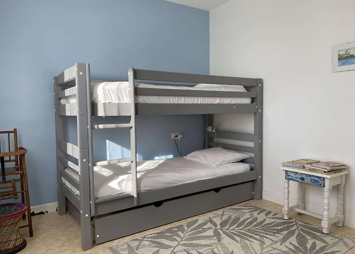 Salamandre - Hilaire De Riez *