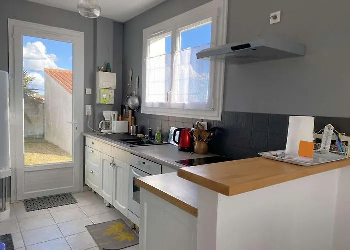 Salamandre - Hilaire De Riez