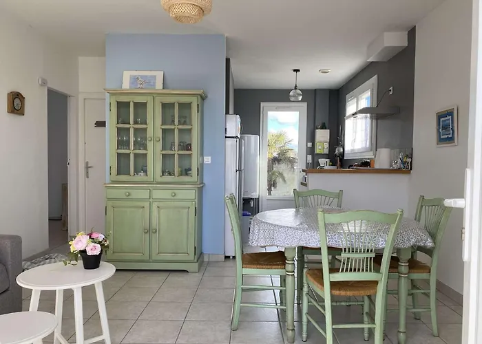 Salamandre - Hilaire De Riez