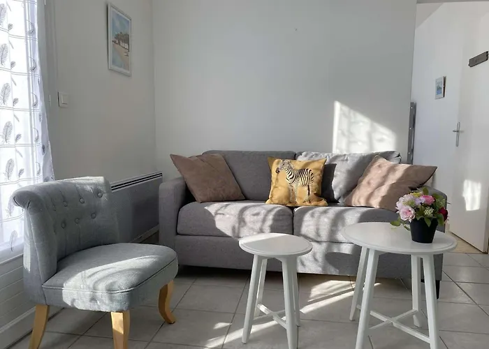 Salamandre - Hilaire De Riez * Saint-Hilaire-de-Riez