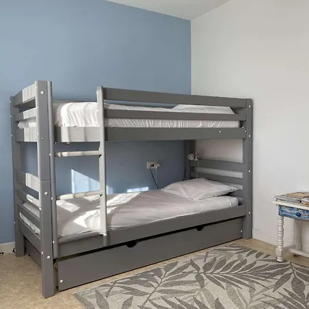 Salamandre - Hilaire De Riez *