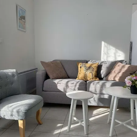 Salamandre - Hilaire De Riez * Saint-Hilaire-de-Riez